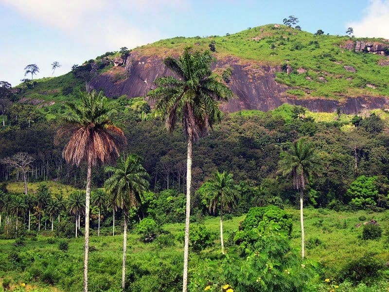 image4