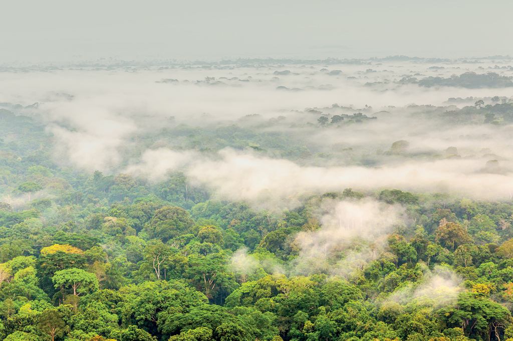 Image de nature en Côte d'Ivoire